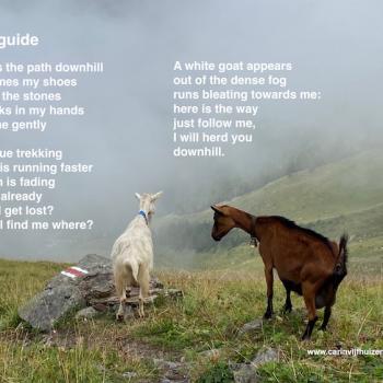 Goat Guide