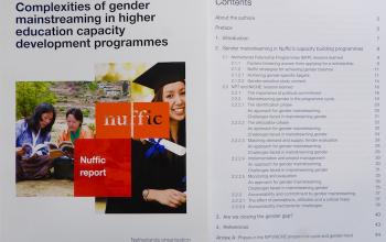 Gender mainstreaming in capacity development programmes