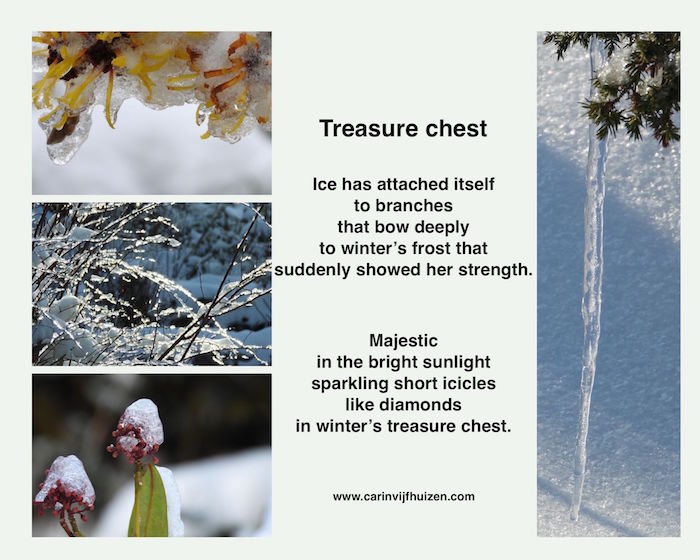 Treasure chest