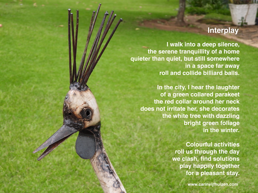 Interplay