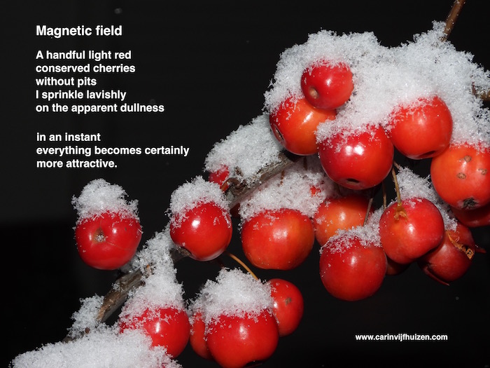 Magnetic field