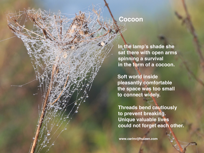 COCOON