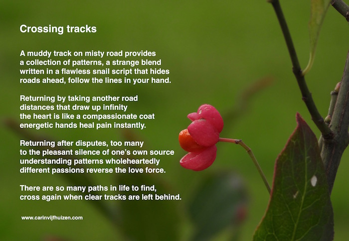 Crossing tracks