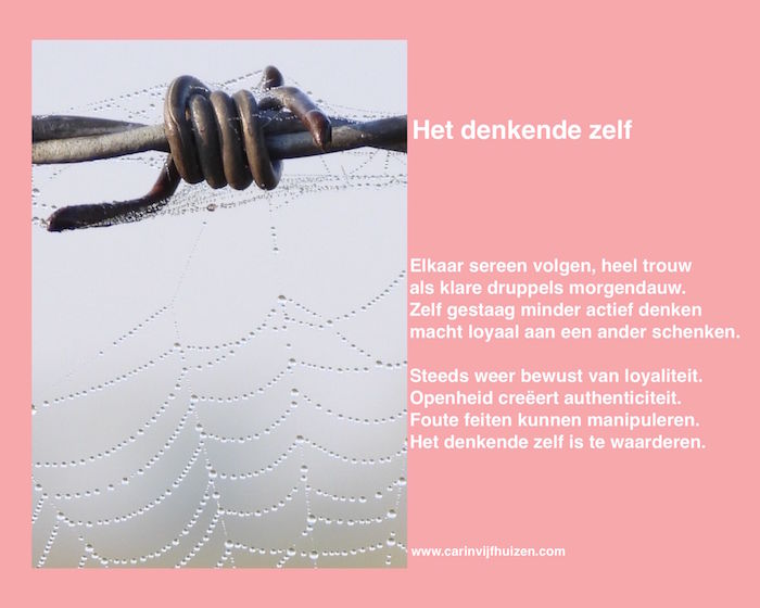 THE THINKING SELF