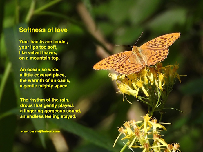 SOFTNESS OF LOVE