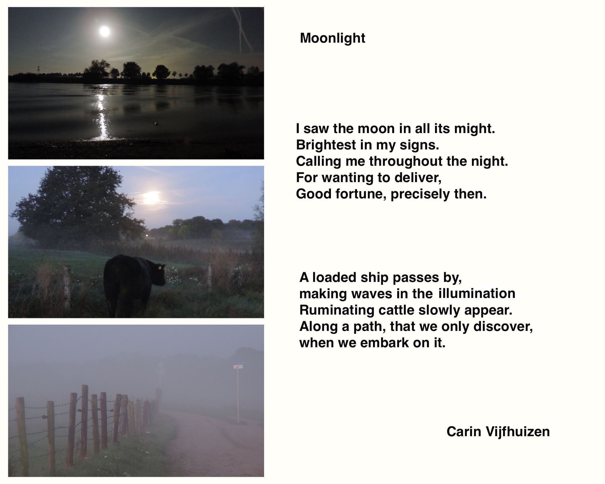 MOONLIGHT