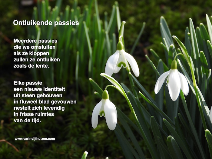 BLOOMING PASSIONS