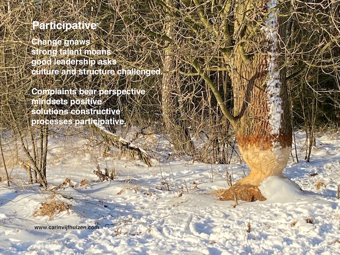 PARTICIPATIVE
