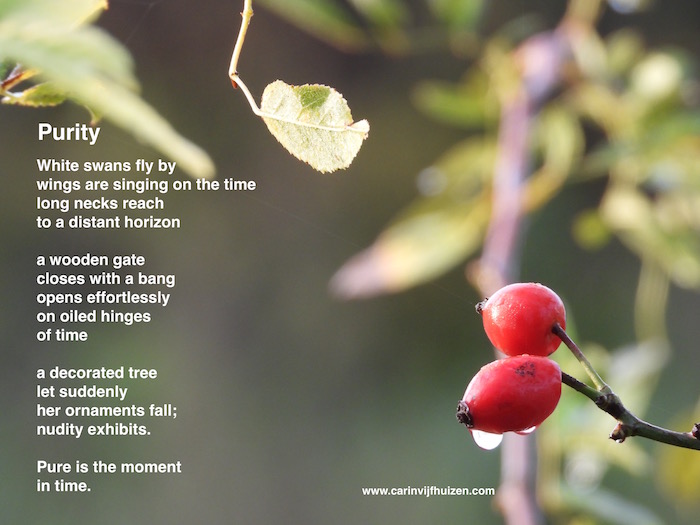 Purity