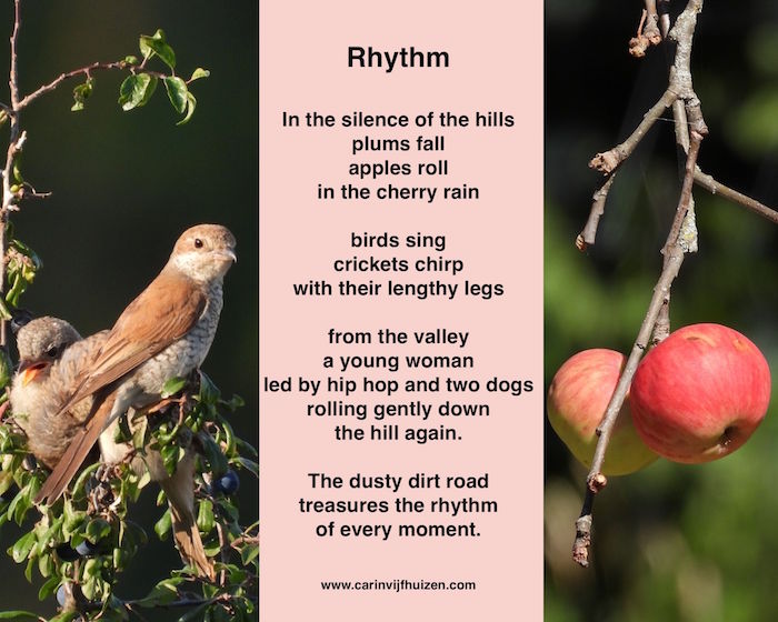 Rhythm