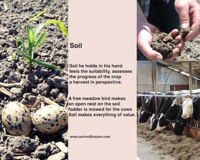 Soil