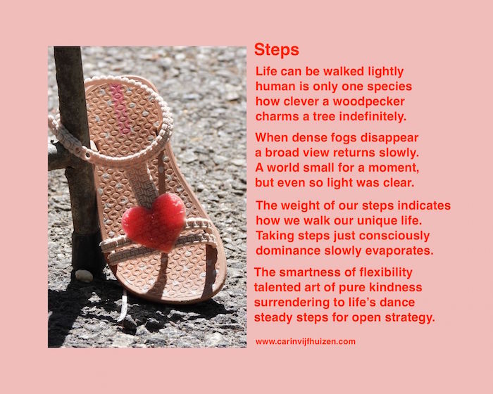 STEPS