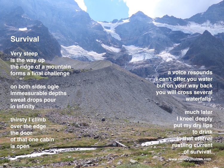 Survival