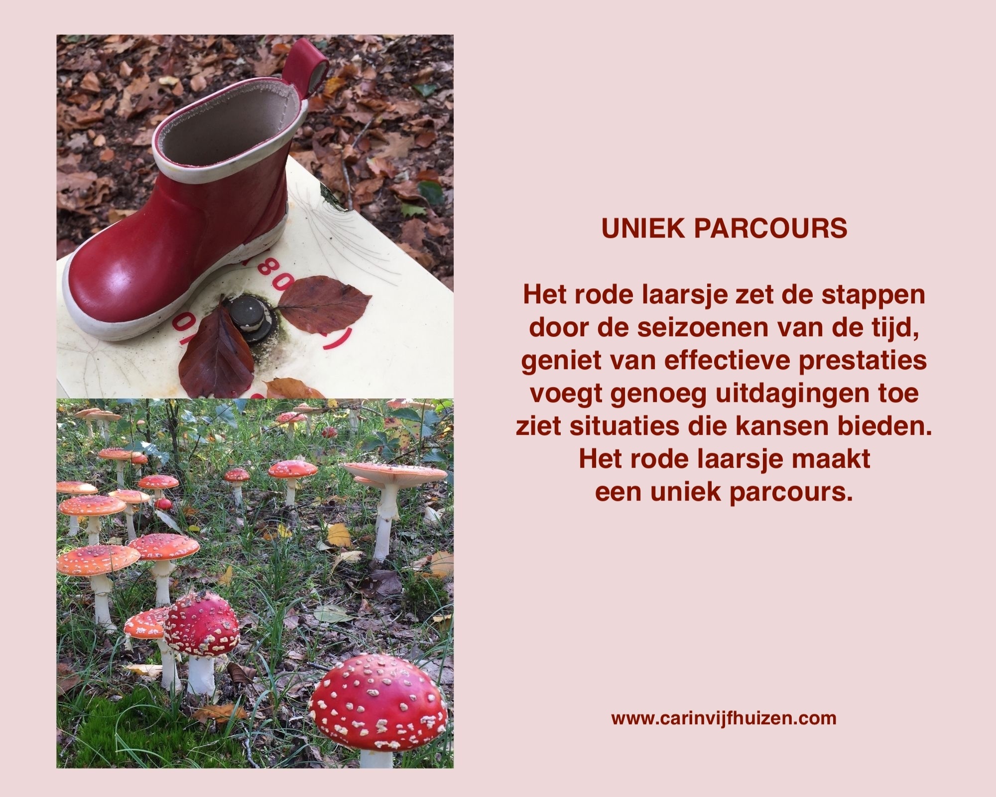 UNIQUE TRAIL