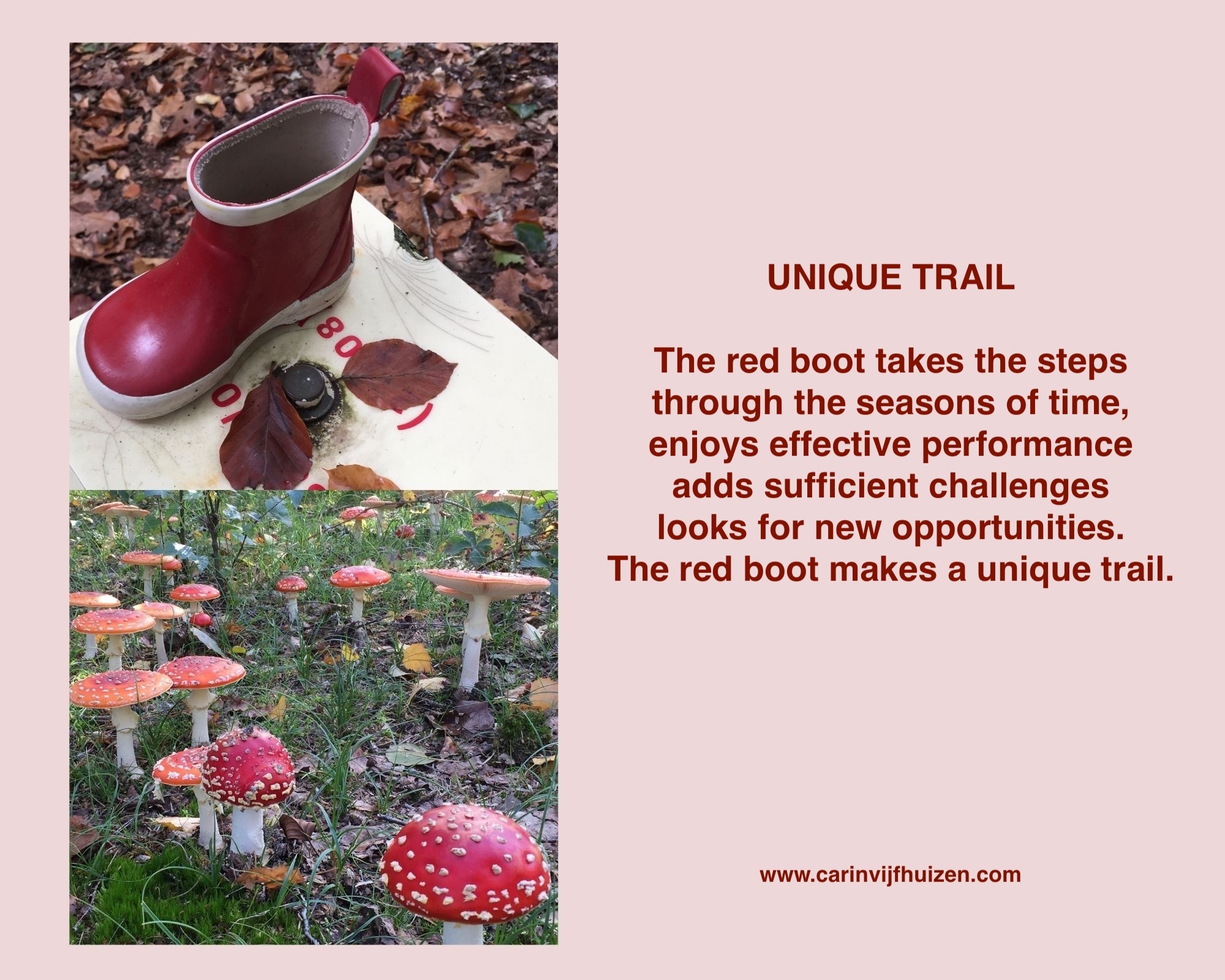 UNIQUE TRAIL